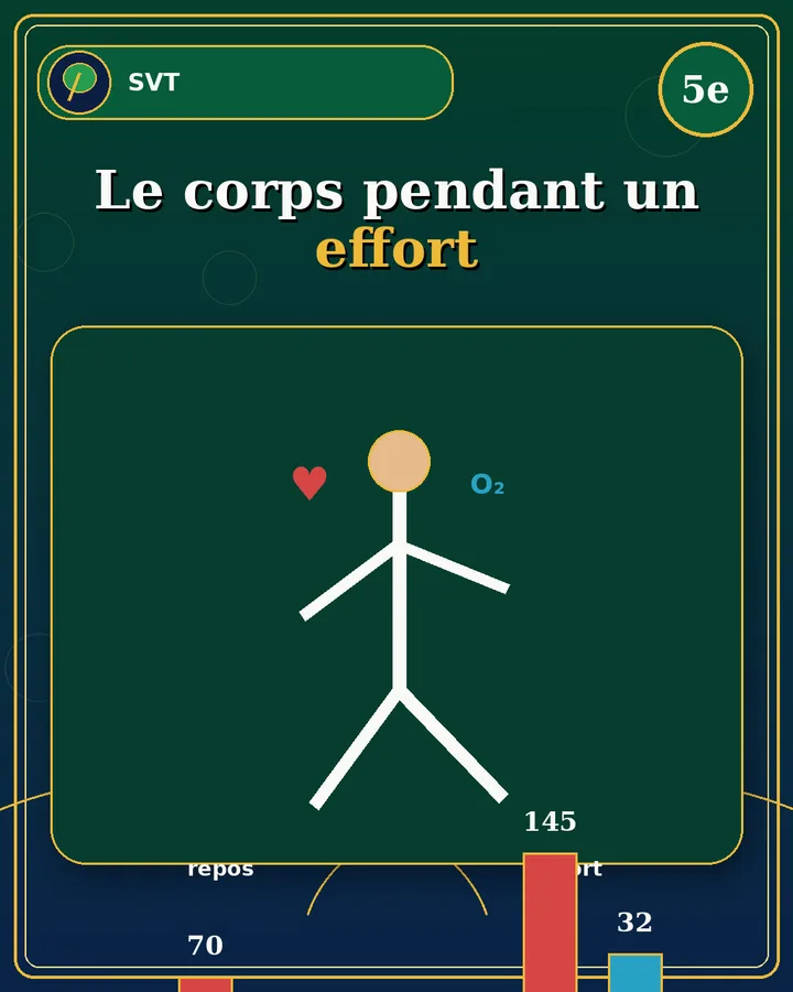 Visuel de la fiche : Le corps pendant un effort